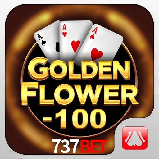 Apostas Esportivas na 737bet: Um Guia Completo