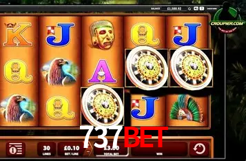 737bet Curitiba - Statistics